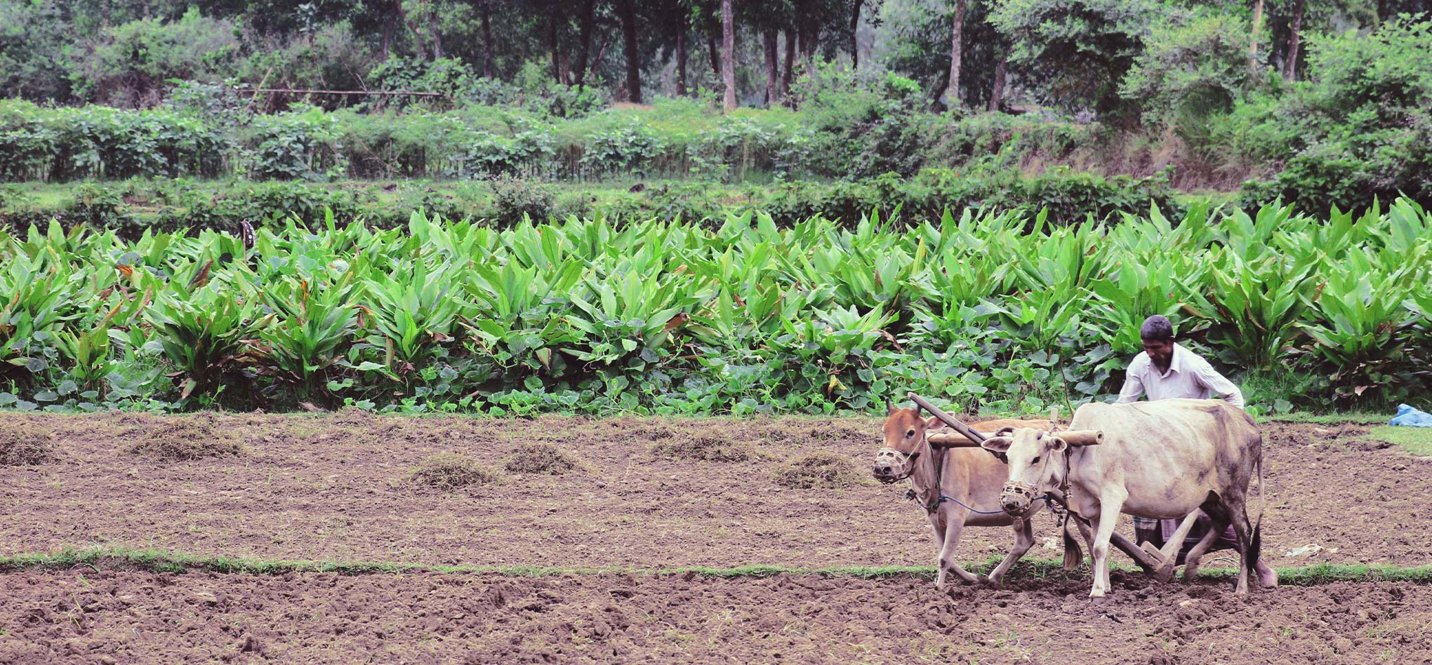 BANGLADESH: THE BRAVE FAITH OR OF AN EX ISLAMIC TEACHER TURNED CHRISTIAN